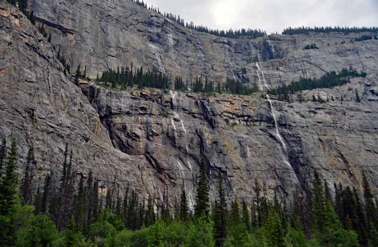weeping wall